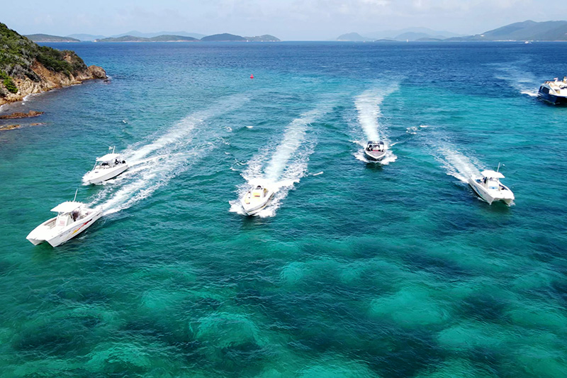 Dolphin has the largest fleet in the Caribbean.